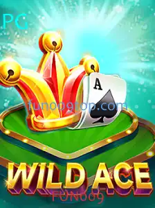 Explorando o Jogo WildAce: Diversão e Estratégia com FUN009